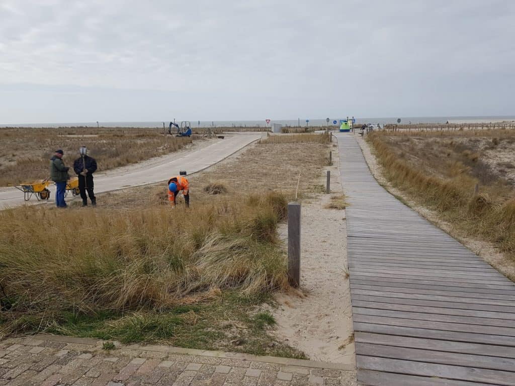 petten 1