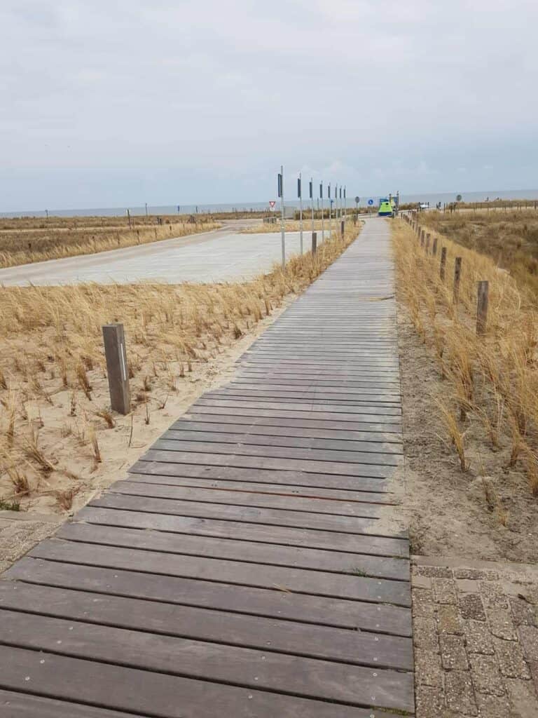petten 9
